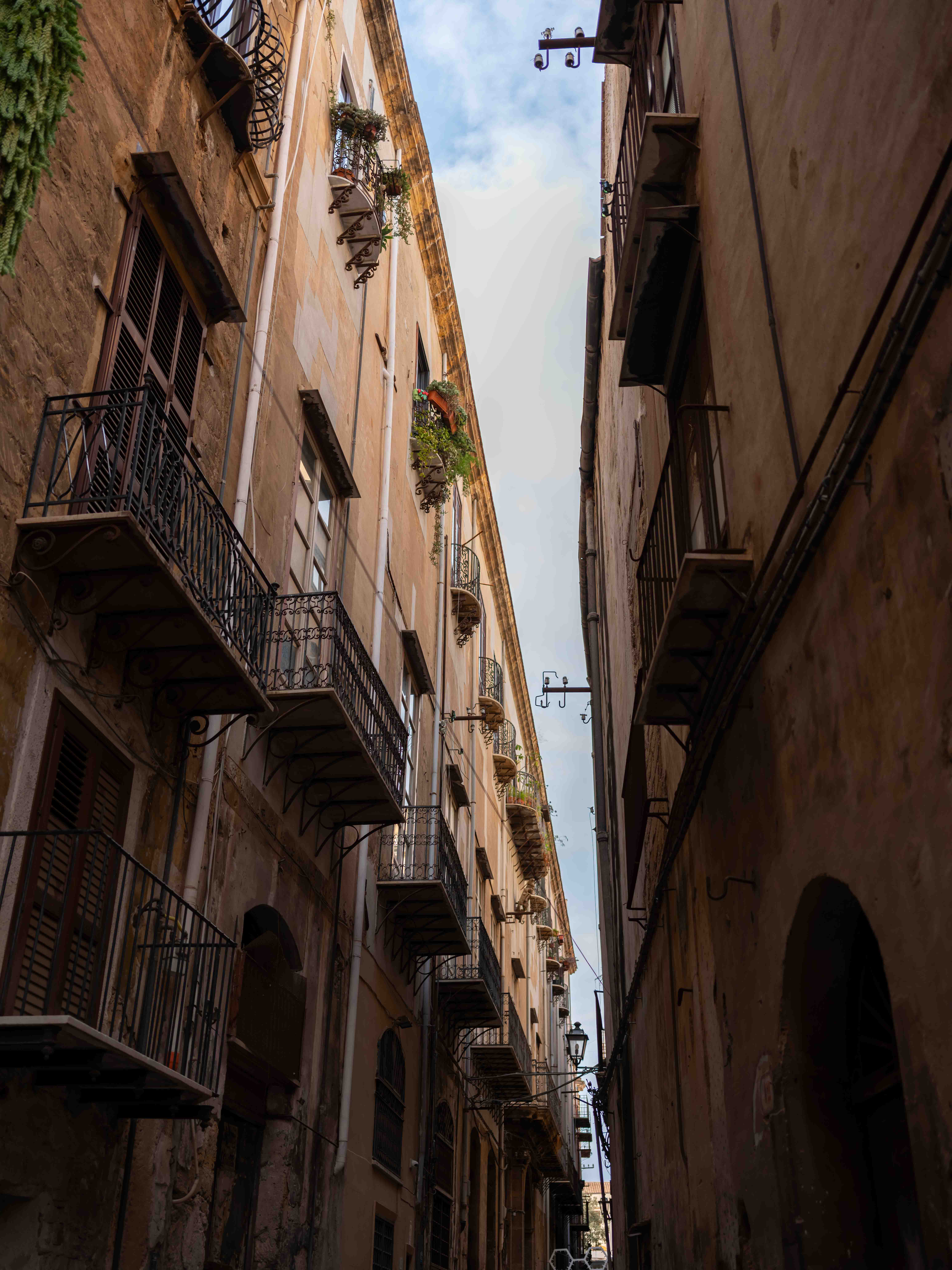 Photos from travel in Sicily, Fall 2024. Taormina, Noto, Palermo.